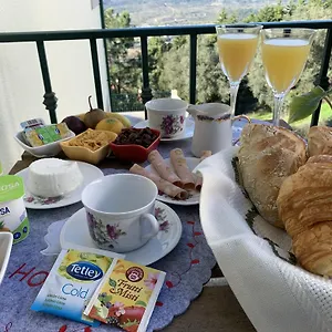 Bed & Breakfast Charming Cozy Retreat - Terrace & Private Balcony, Coimbra